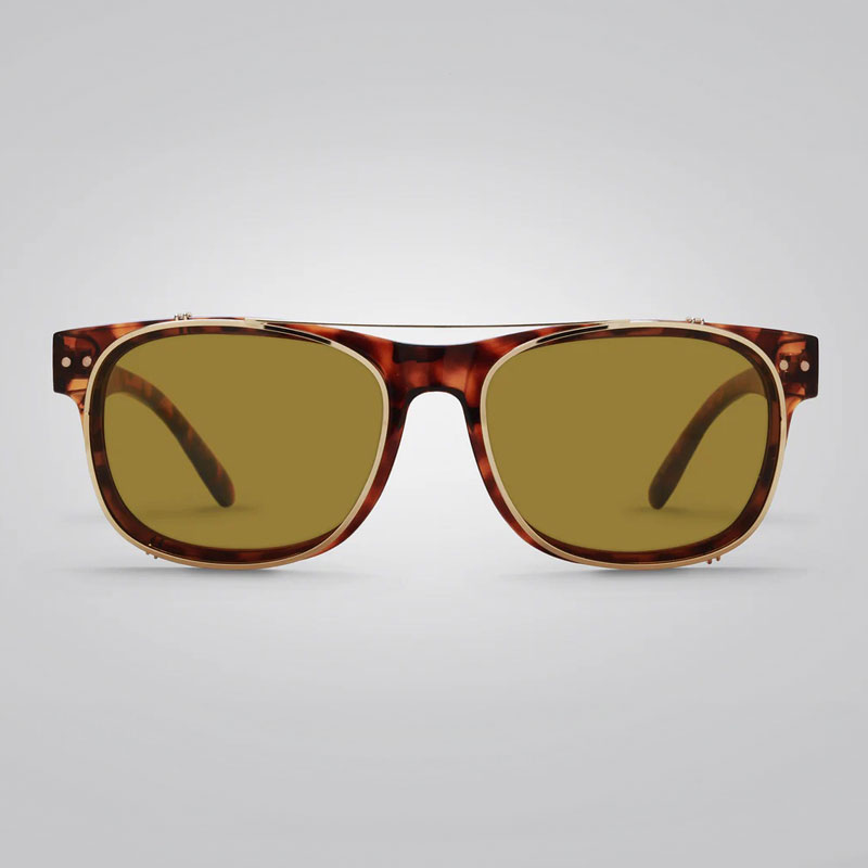 Eagle Eyes Starr Tortoise Sunglasses